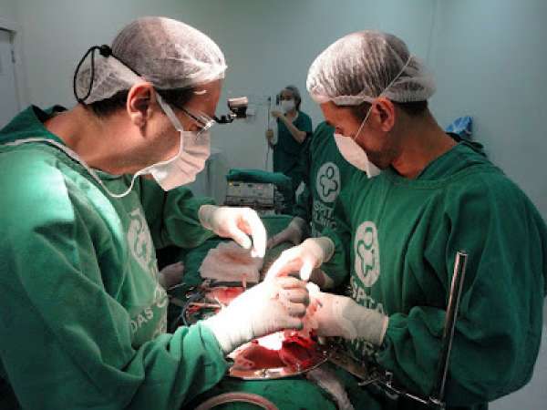 Brasil é destaque no contexto mundial de doação de órgãos