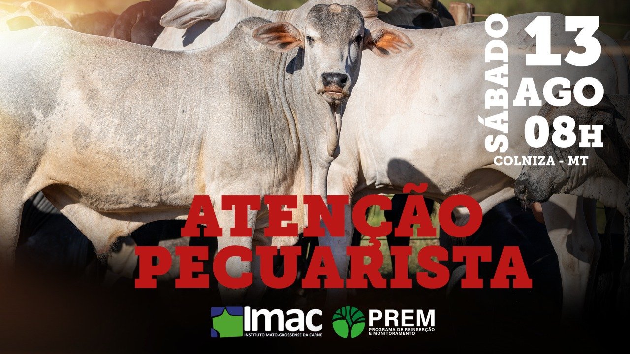 Imac, Instituto Mato-grossense de Carnes realizará evento PREM em Colniza