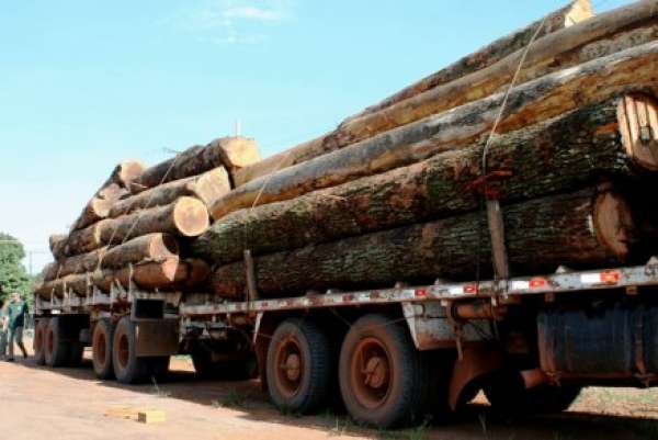 Sema e Indea apreendem 56 caminhões com madeira irregular