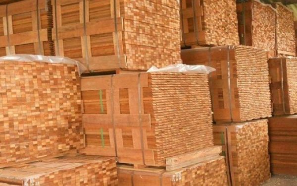 SEMA derruba portaria que proibia extração de algumas espécies de madeira