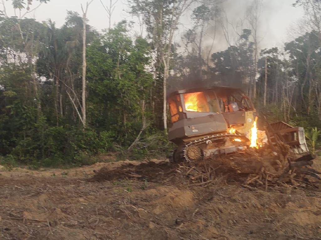 Operação contra desmatamento flagra atividade agrícola em área embargada no norte do estado