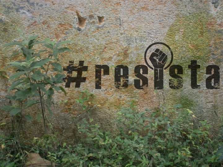Mobilização #Resista visa combater retrocesso ambiental no país