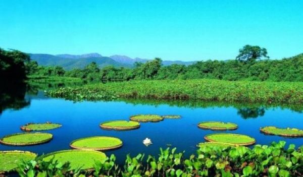 MT não mede impacto do turismo no Pantanal