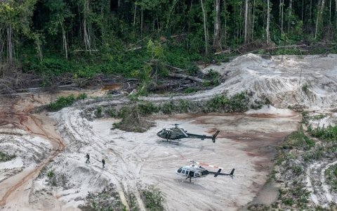 Desmatamento na Amazônia aumenta em janeiro
