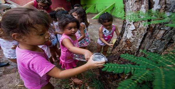 Sema leva educação ambiental para creches estaduais