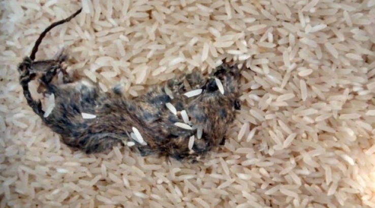 Consumidora encontra rato dentro de pacote de arroz