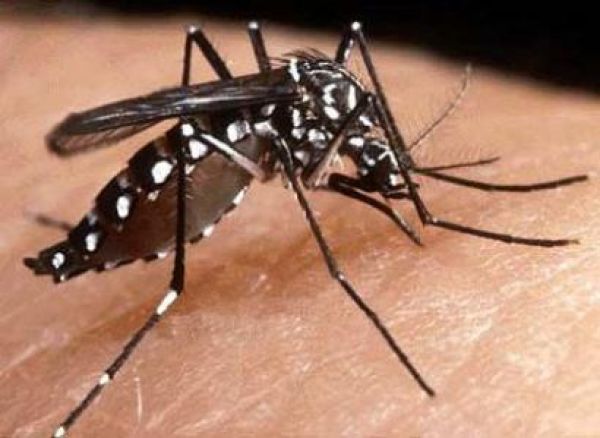 Ministério da Saúde aponta Cuiabá como única capital em situação de risco de dengue
