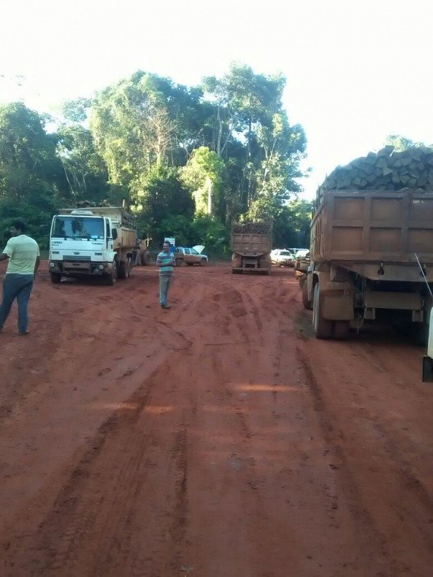 Ibama volta a apreender madeira ilegal em Assentamento de Feliz Natal