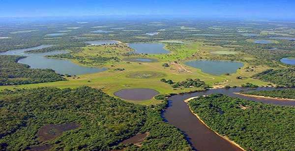 Procurador aponta falhas na Lei do Pantanal e propõe mudanças em pontos cruciais