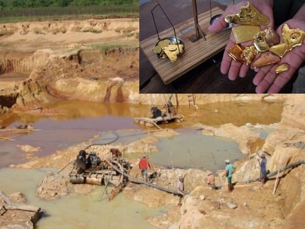 Garimpo da Região do Vale do Rio Peixoto pretende extrair 8 t de ouro