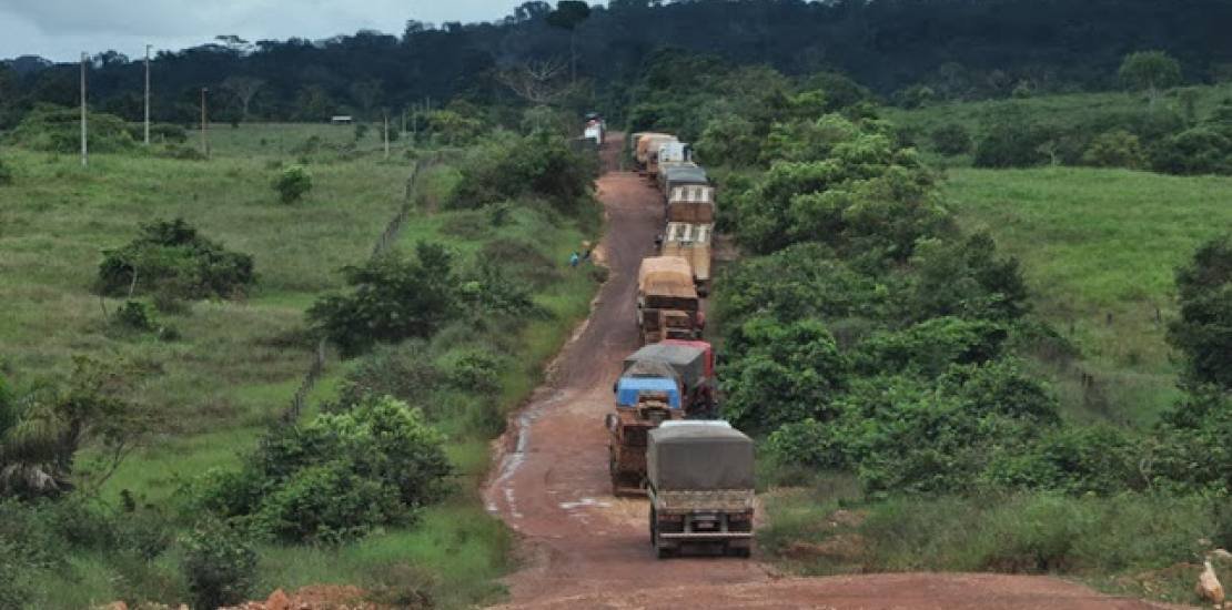 Estudos definirão pavimentação da BR-174 em Mato Grosso; recursos são liberados