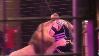 Domador é atacado por leão durante apresentação em circo