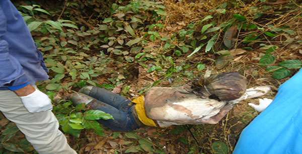 Corpo de homem é encontrado às margens da estrada em Aripuanã