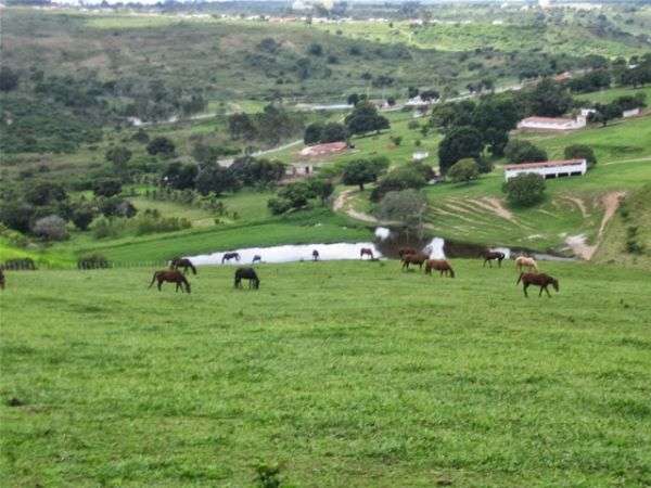 Famato e Incra realizam capacitação em junho sobre o Sistema Nacional de Cadastro Rural