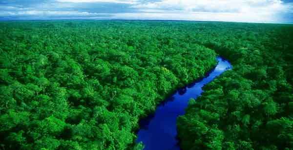 Fundo Amazônia destinou US$ 1 bilhão a projetos ambientais