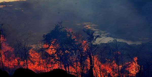Incêndio atinge área florestal no Complexo Turístico em Aripuanã