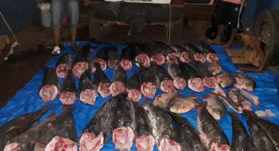 PM prende dois e apreende 300 kg de pescado ilegal