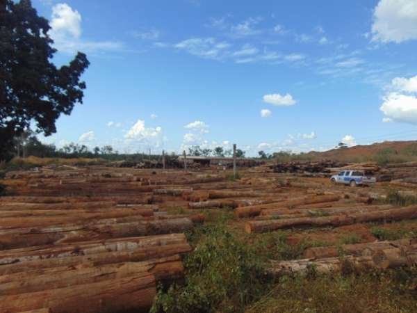 Sema apreende 2,1 mil m³ de madeira em Marcelândia